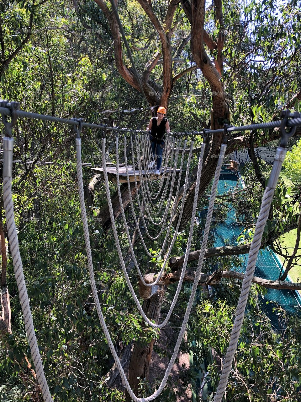 Tree surfing 