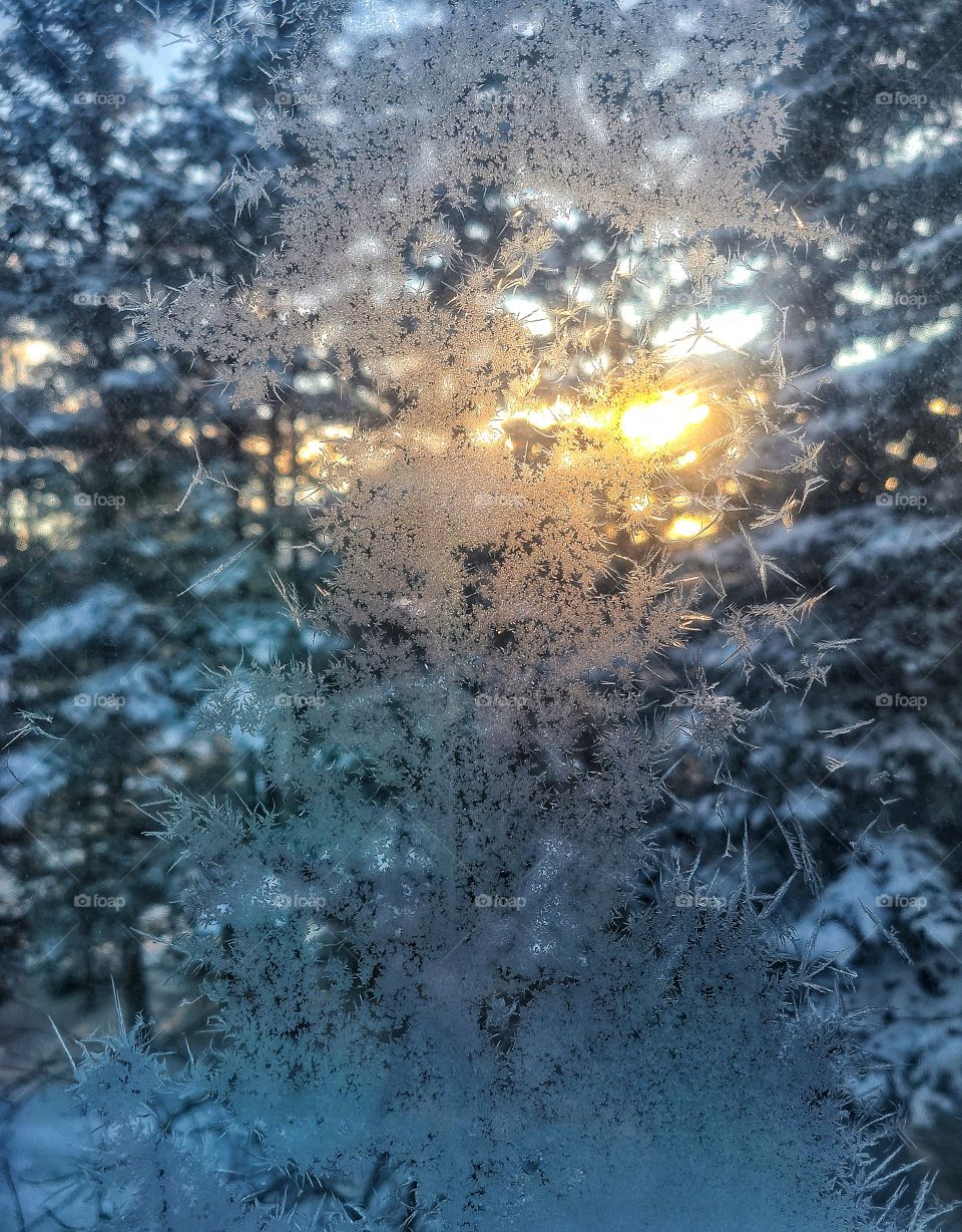 Sunset through a frosted window in the north
