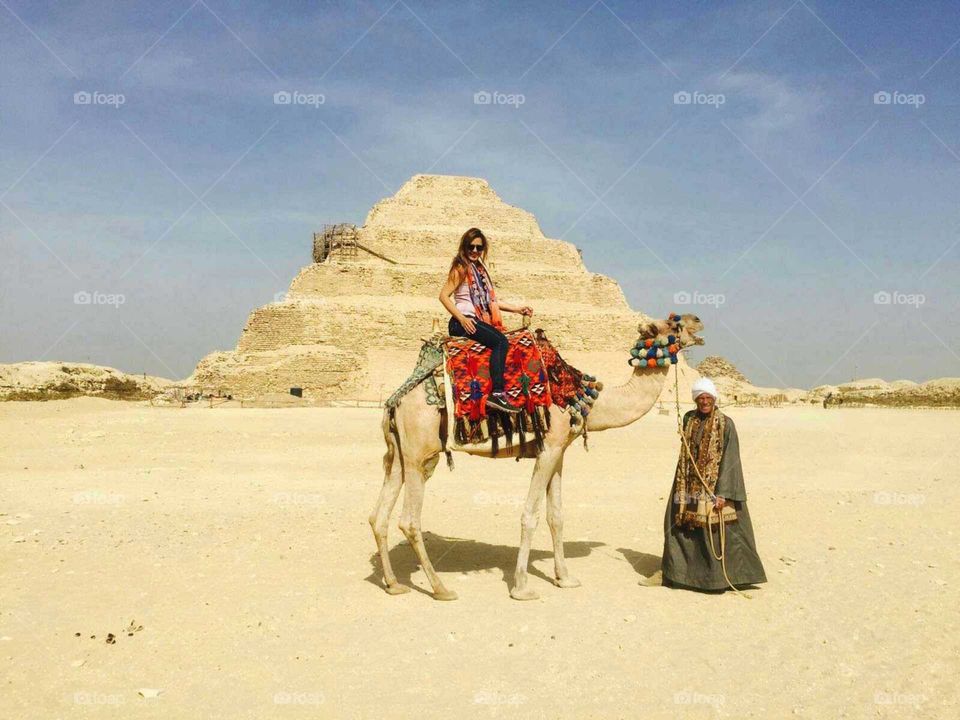 Camel, Sand, Travel, Bedouin, Desert