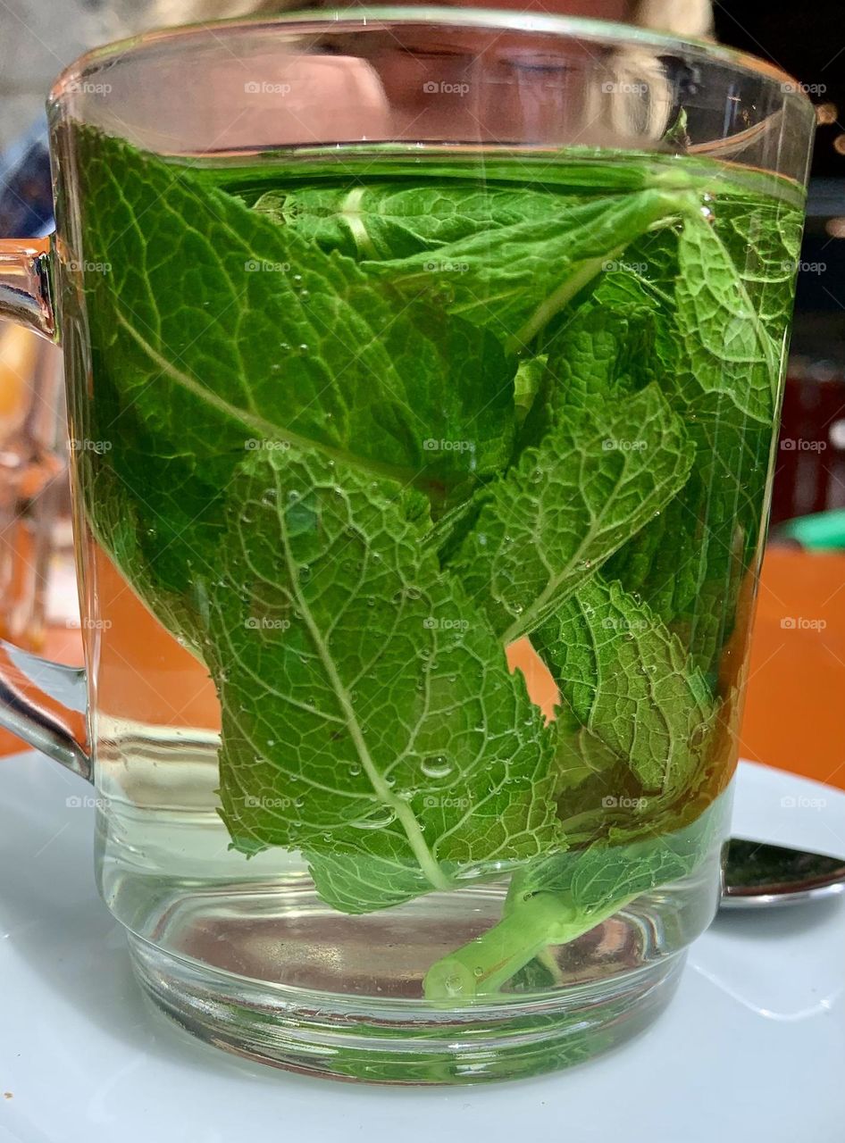 Mint leaves inside a transparent tisane cup, mint tisane, hot drink, mint tea 