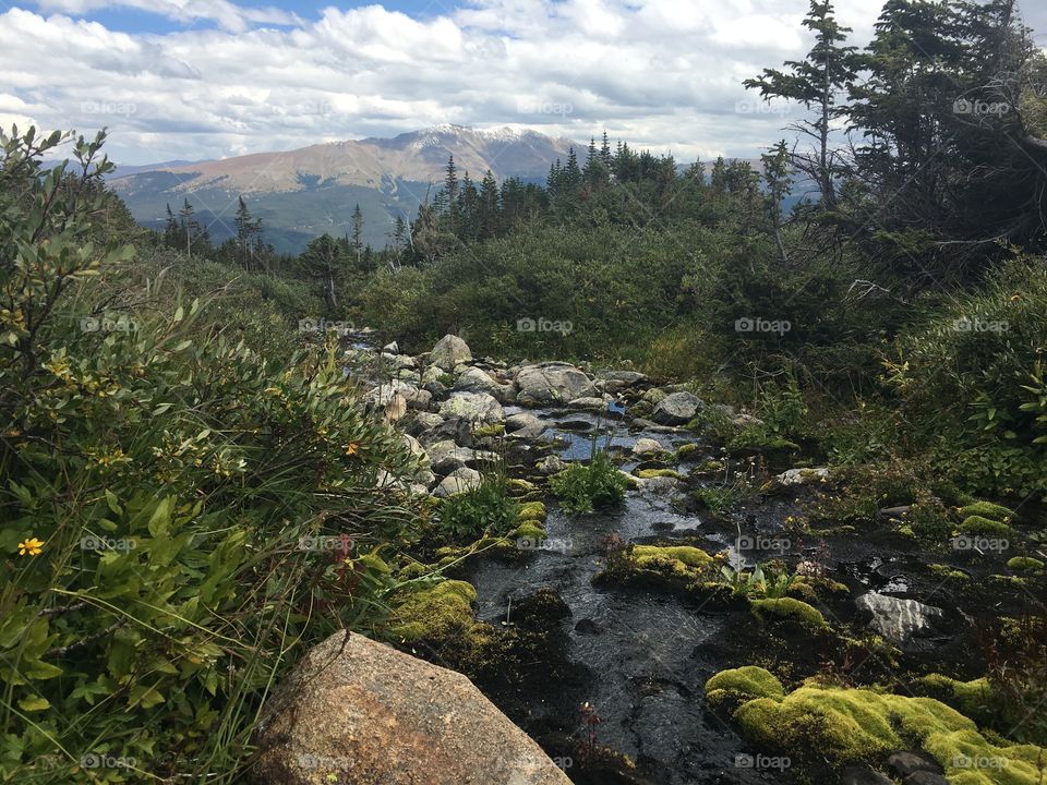 Creek going down