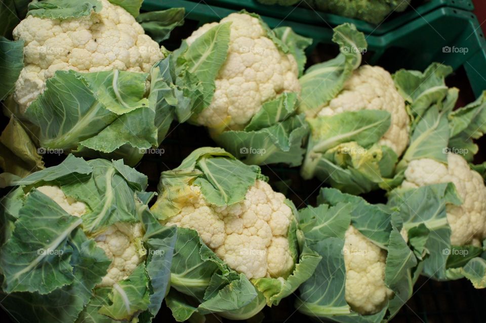 High angle view of cauliflowers