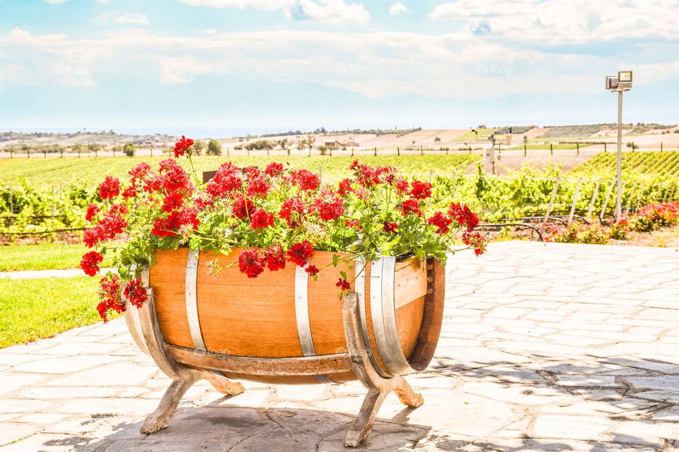 Wooden barrel flower pot