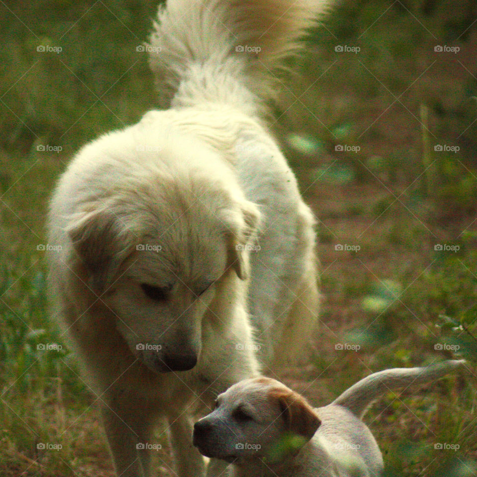 The most important things