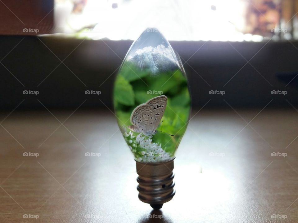 magical bulb