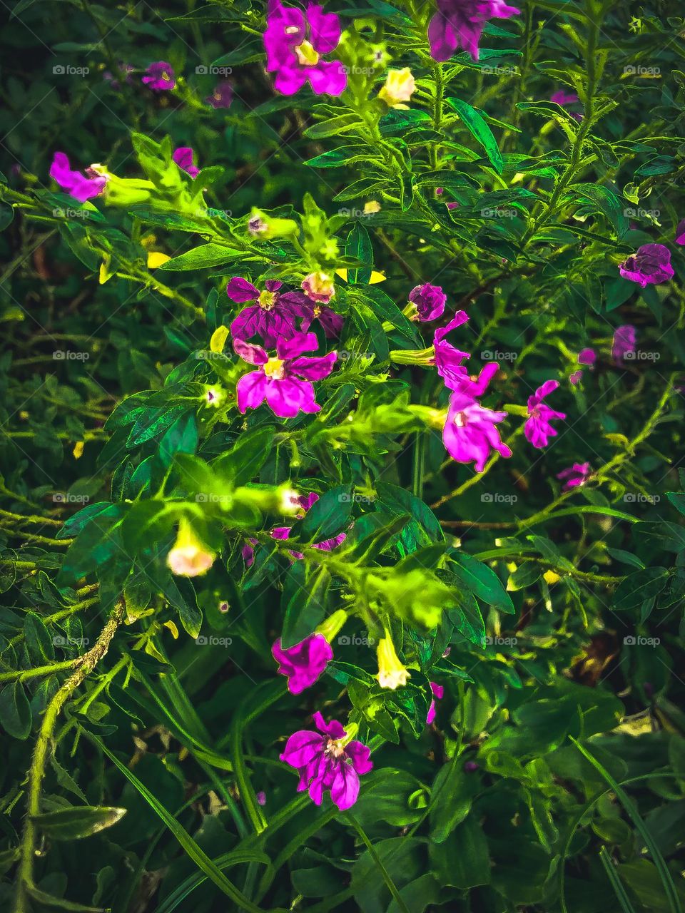 all the flowers are in bloom in the beautiful pot garden