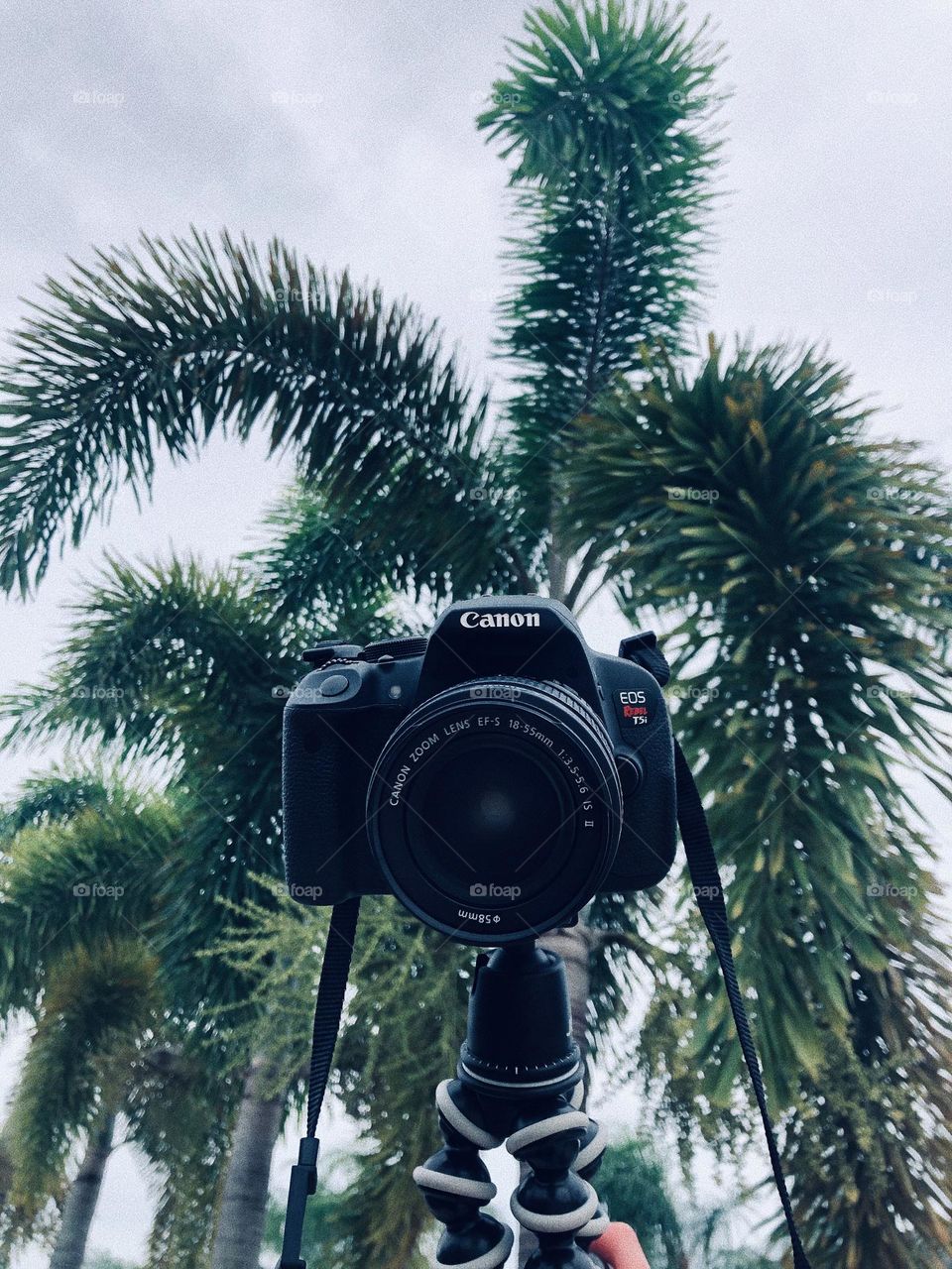 the best way to view the world. 