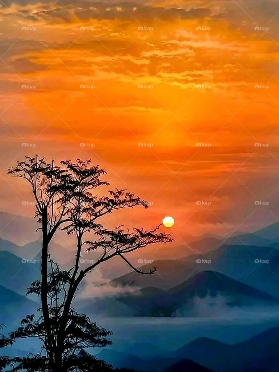 A very beautiful picture, and there is no better picture than it. There is no better picture of green herbs and colorful, red and white roses than it. Glory be to God, the natural and picturesque view, and there is no more