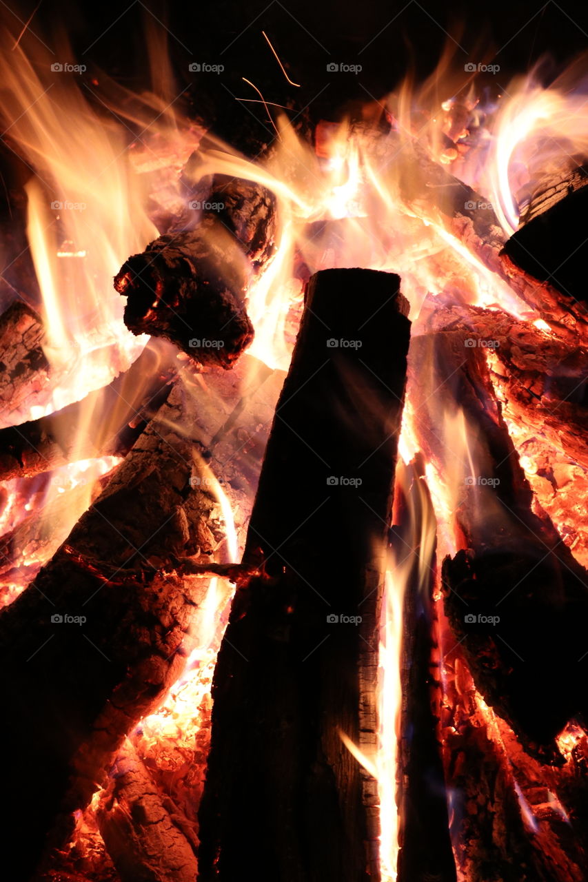 A warm burning campfire in the wilderness. 