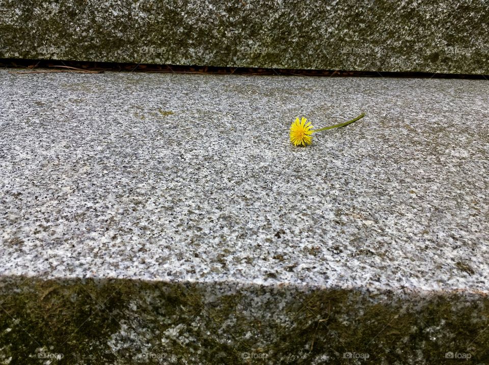 Yellow on stone