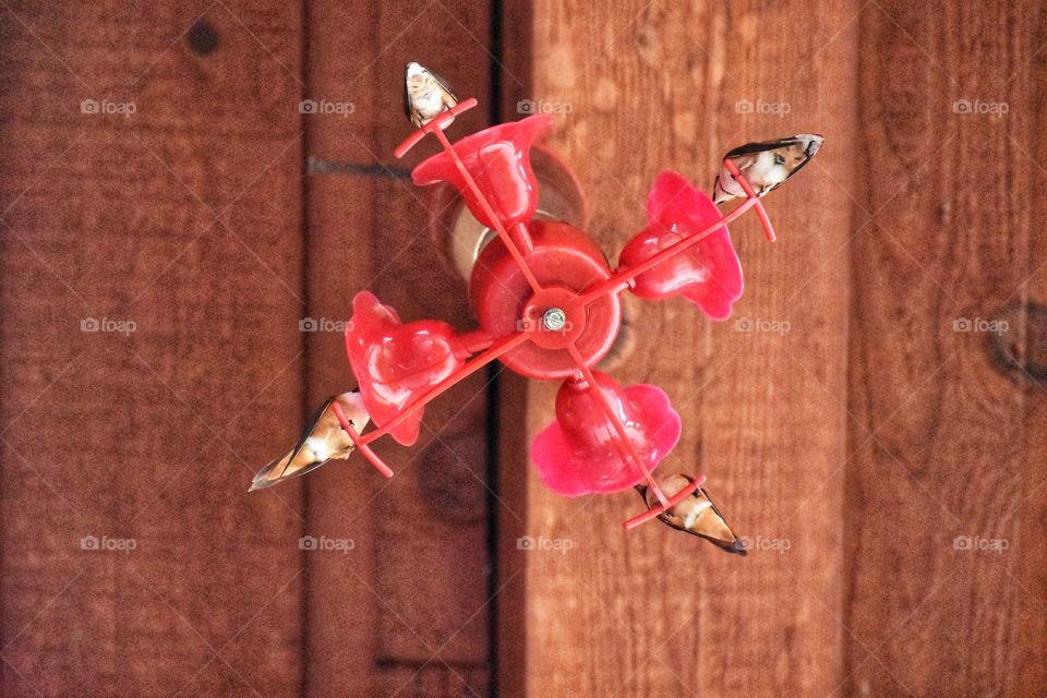 A gorgeous shot of a hummingbird family, drinking out of a feeder, from underneath. 