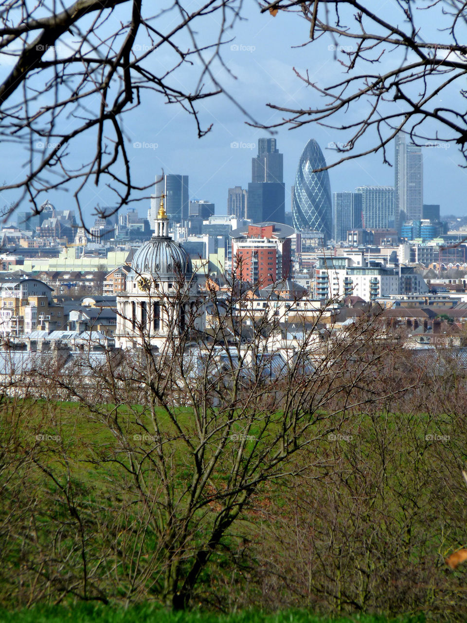 city of london trees by llotter