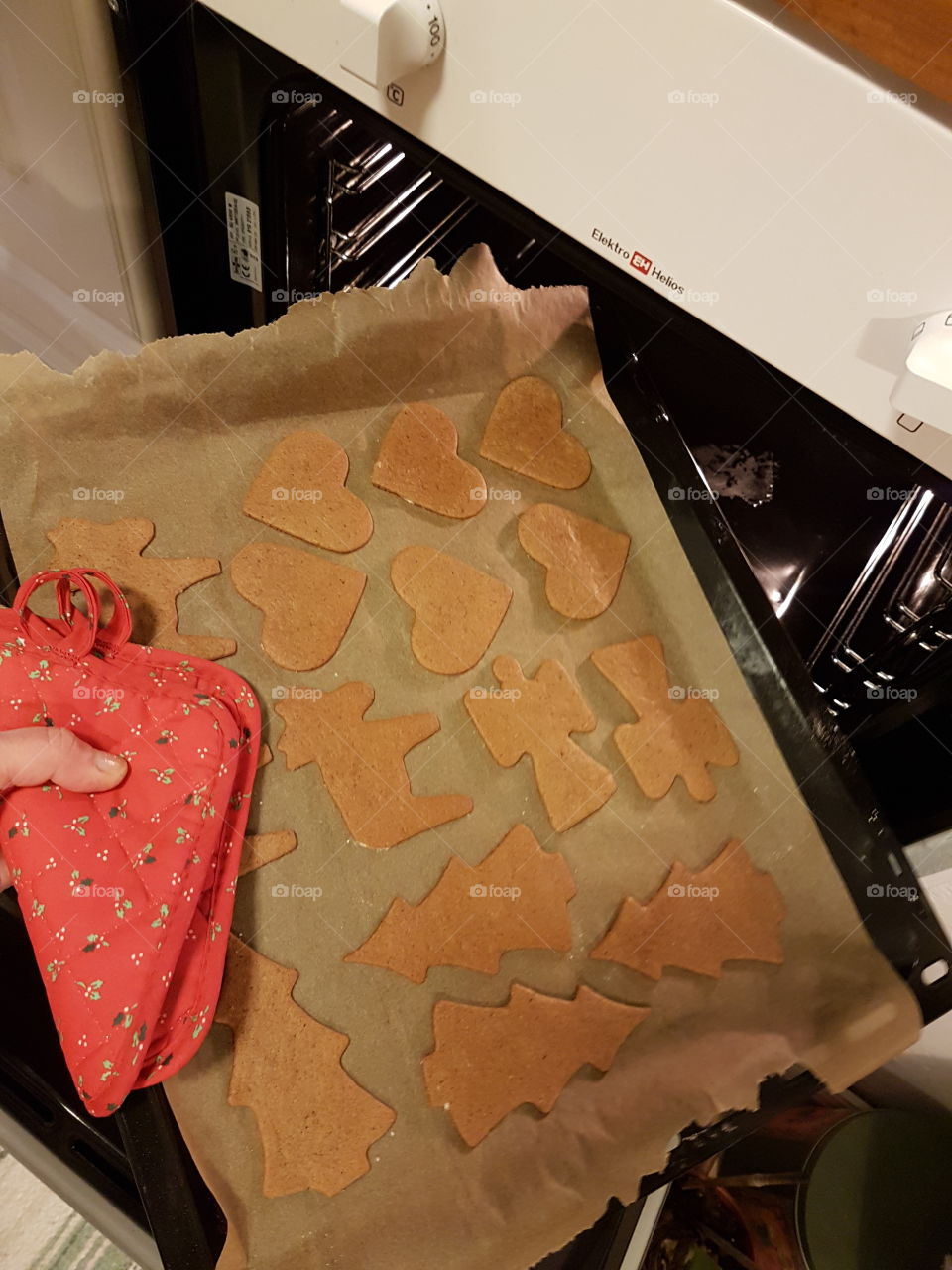 homebaked gingerbread cookies