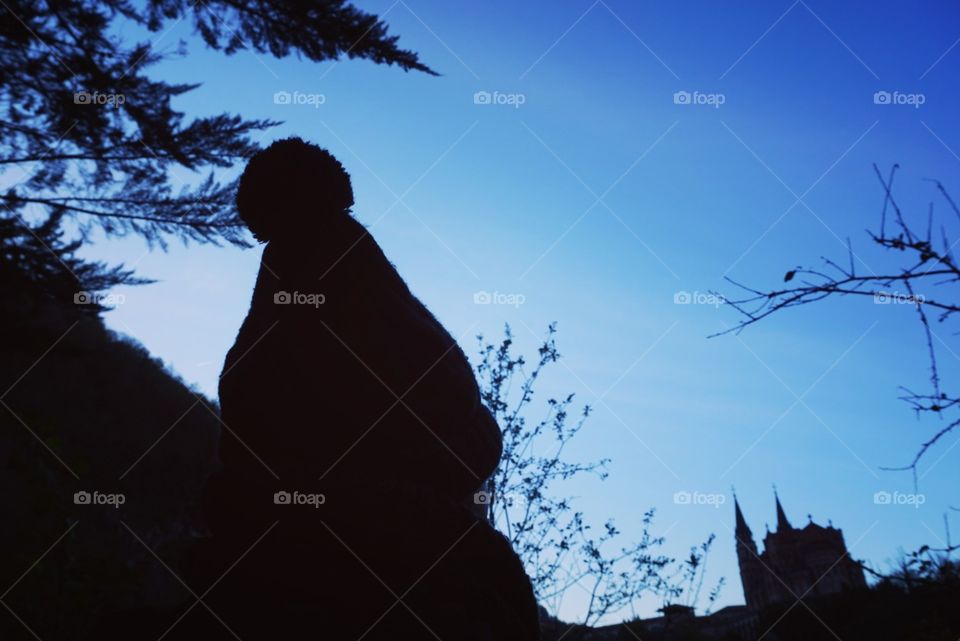 Trees#sky#cap#contour#human#castle#view#evening