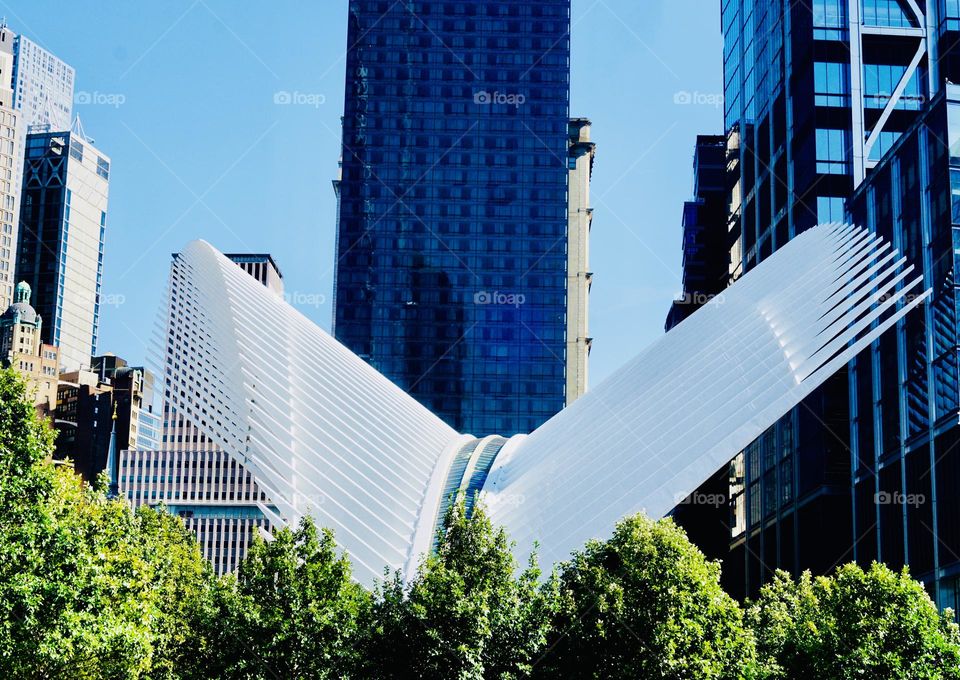 The Oculus, the transportation hub in the World Trade Center. The structure is the portrayal of a bird about to take flight. 