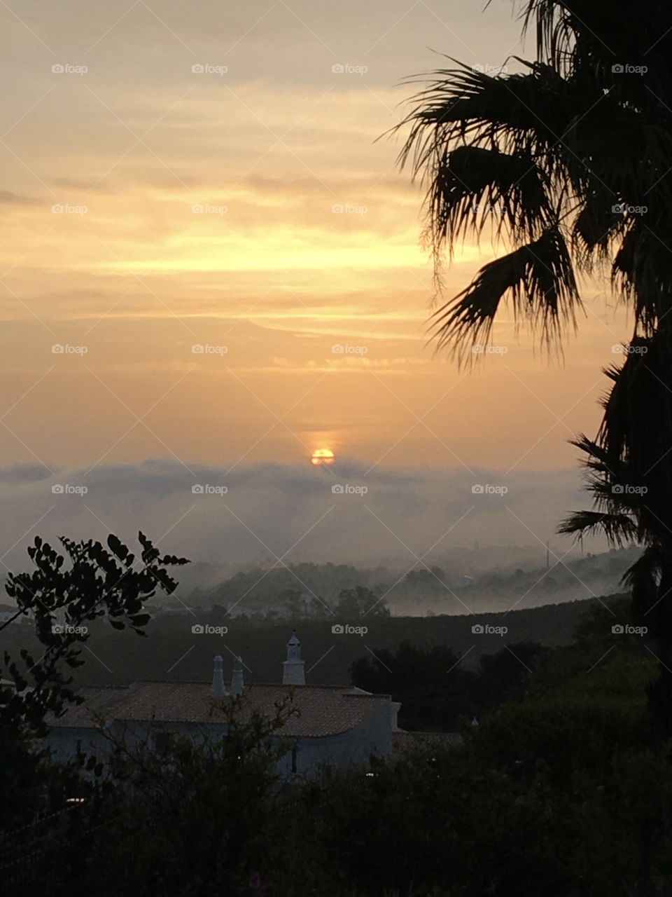 Morning sun rising up from river mist 