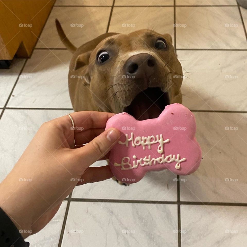 Birthday treat
