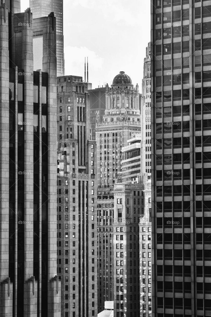 Chicago in Black and White