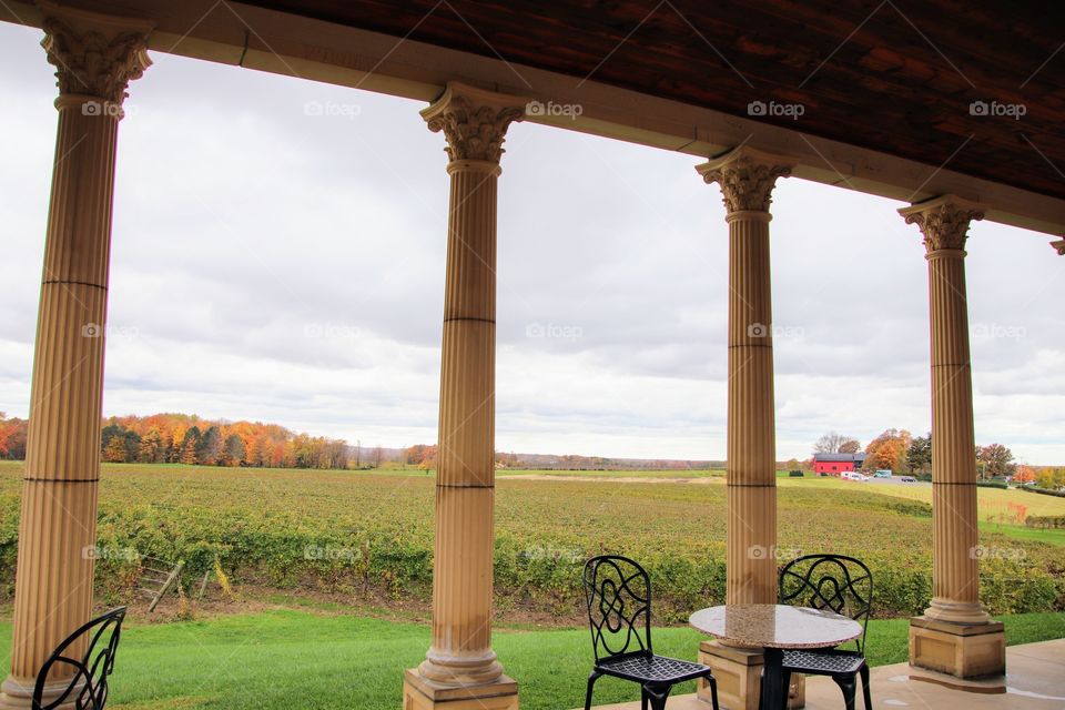 South river vineyards in Grand River Valley Region, Ohio USA  
