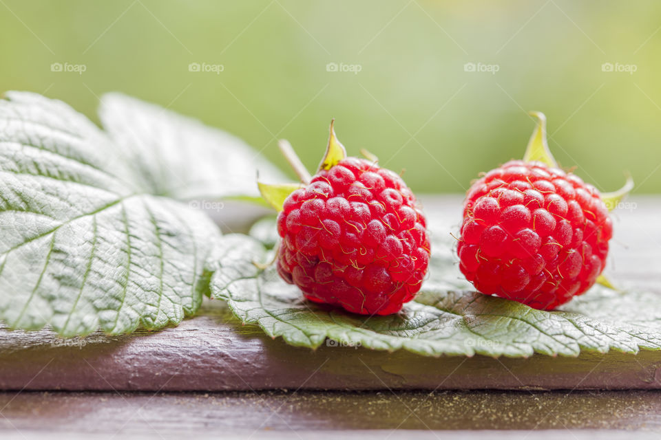 Fresh raspberries