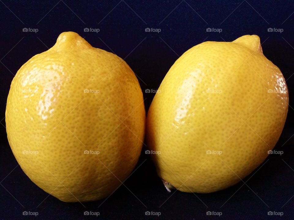 Studio shot of lemons