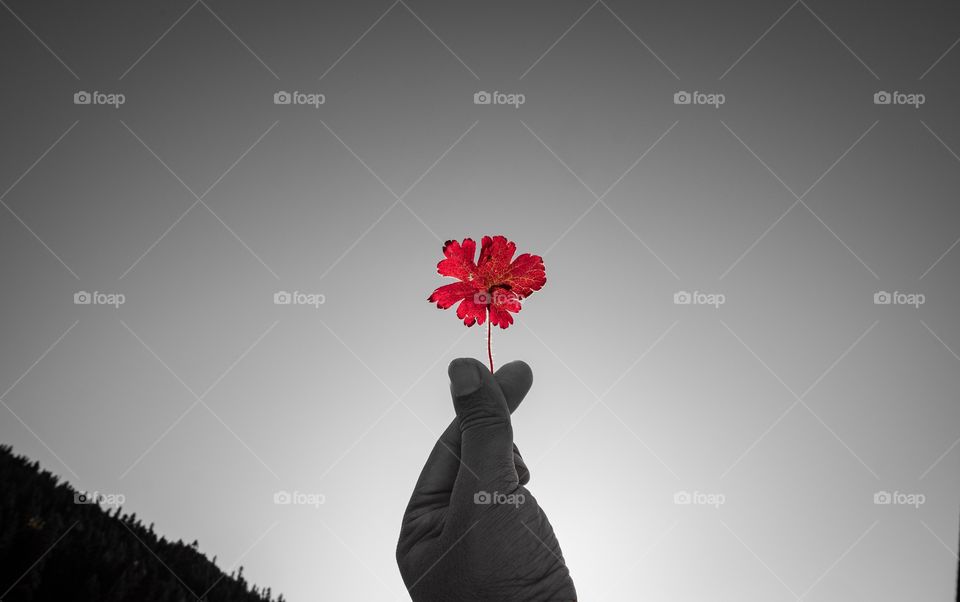 Mini heart to give color of love to you