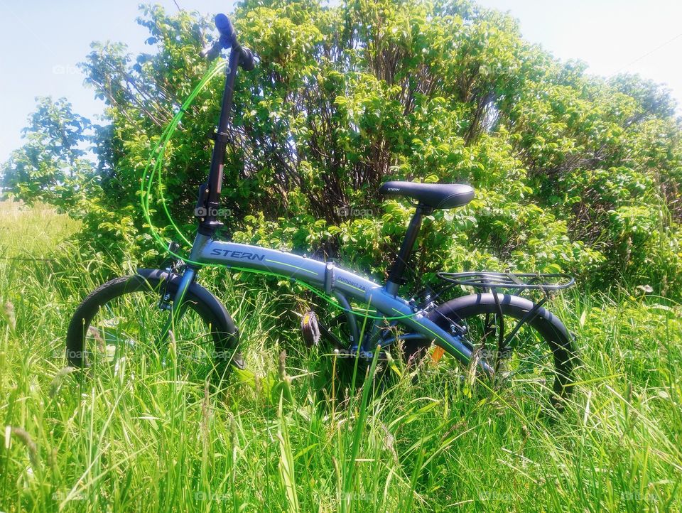 Bikes in forest ana parks