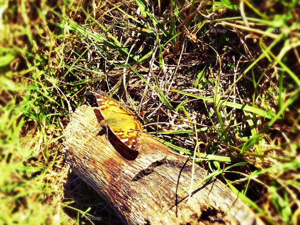 It's such a beautiful day today! 🌻