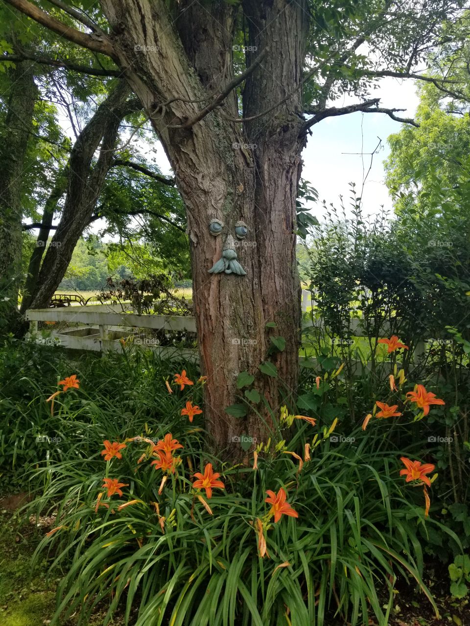 Garden tree