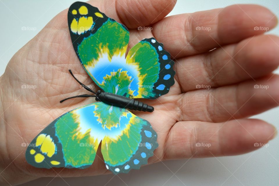 loving earth butterfly in hand