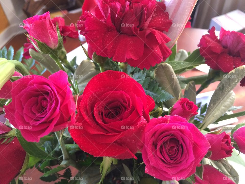 Roses . Delicate roses