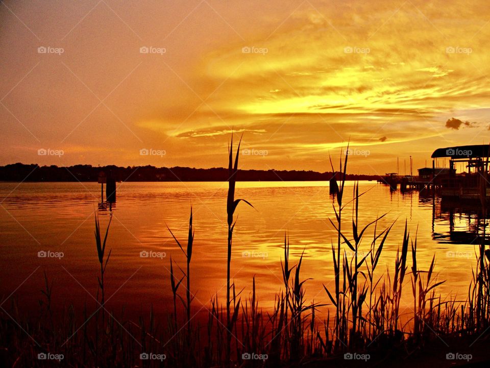 Majestic, warm tropical beach sunset with reeds silhouette. Beautiful orange and gold clouds in the sky as a result of the magnificent descending sun