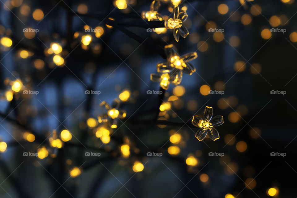 Christmas tree, close-up