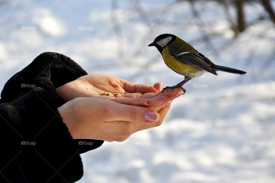 Winter walk 