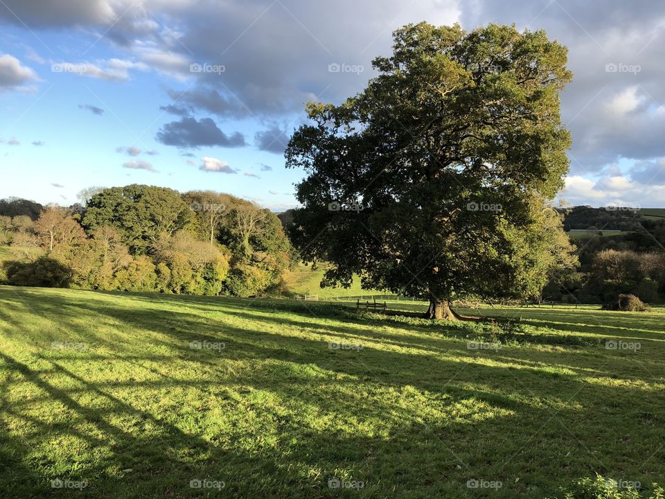 The second of three lovely examples of how our Devon terrain gives such pleasure to thousands of visitors every year.