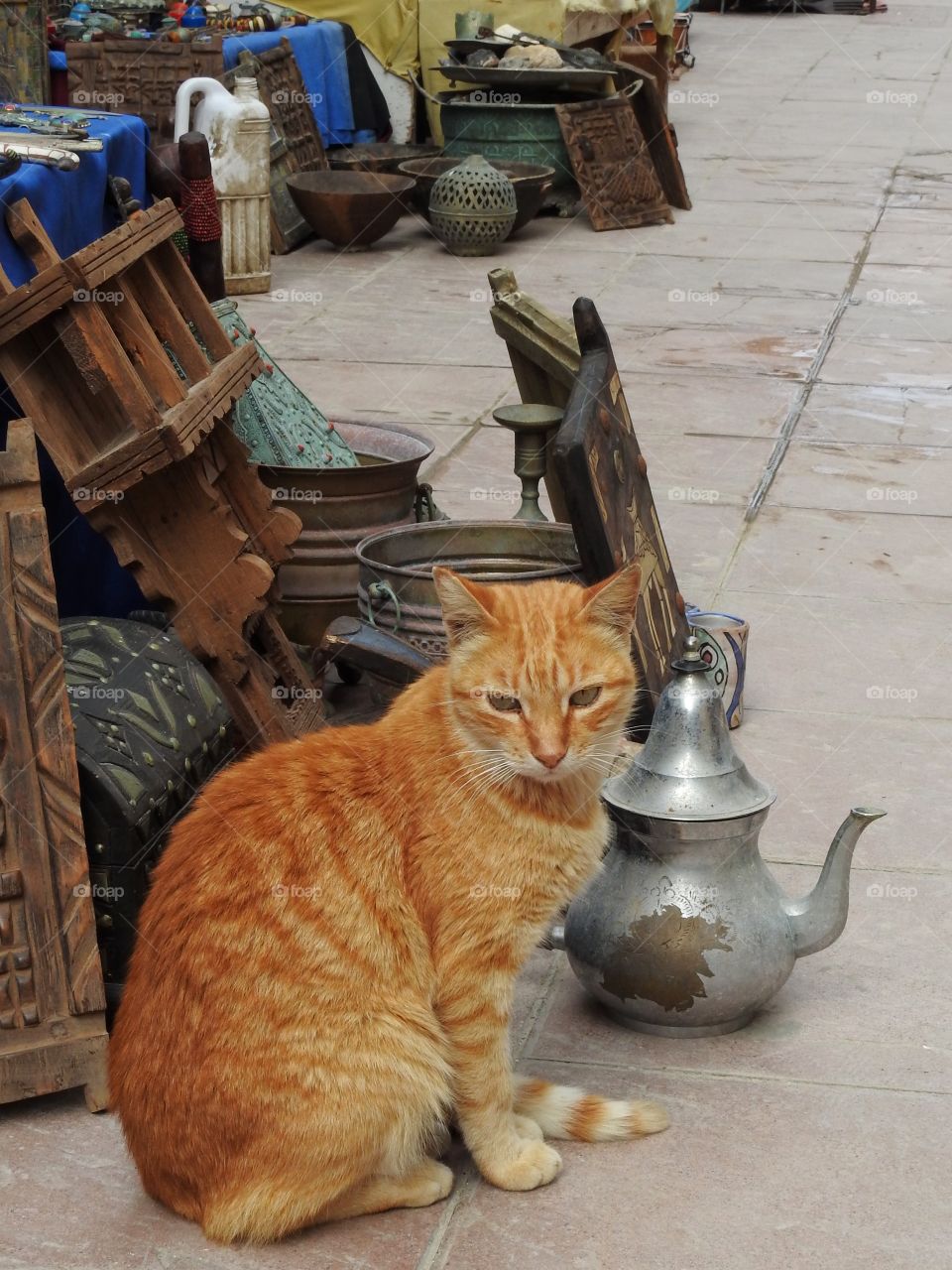 Guarding the souk