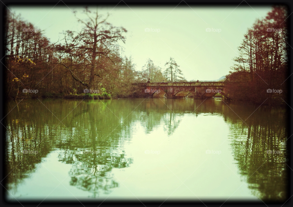Reflection, Lake, River, Tree, Water
