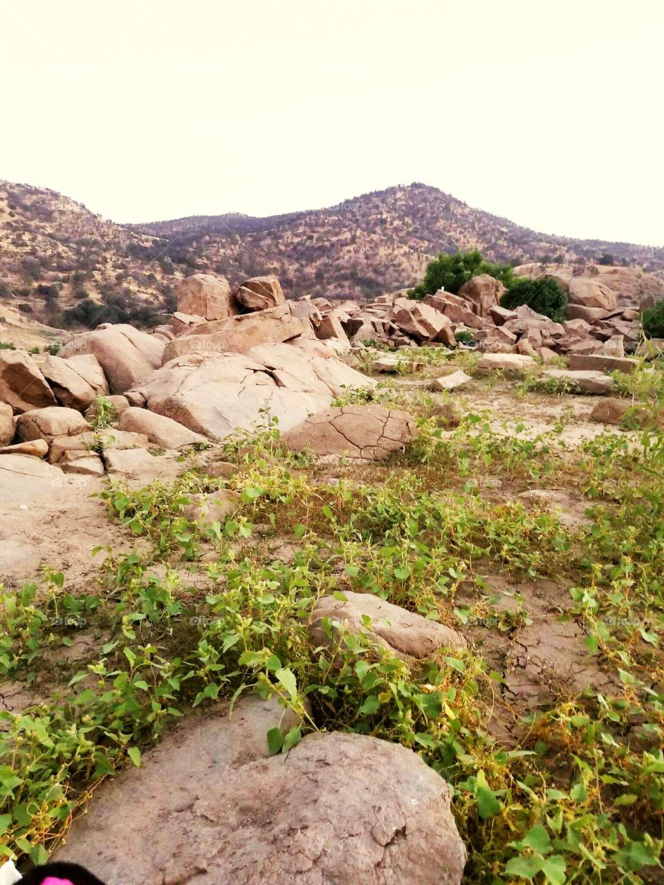 Rocas en la montaña
