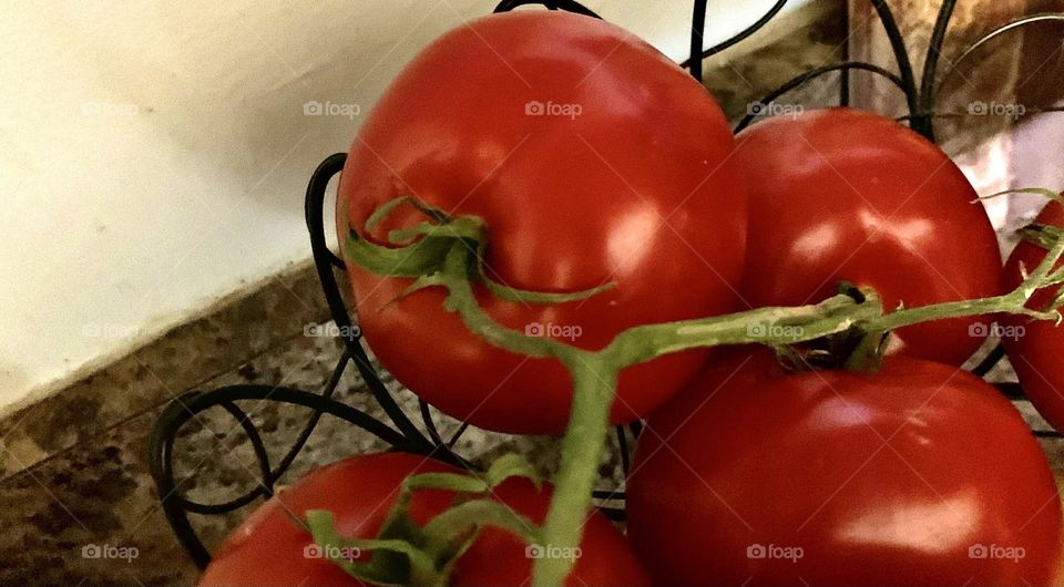 Vine tomatoes 2