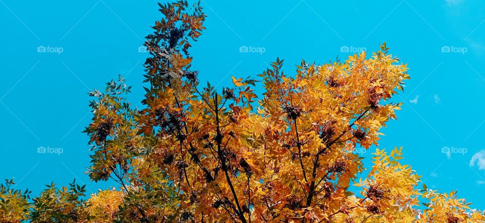 the colors of the sky