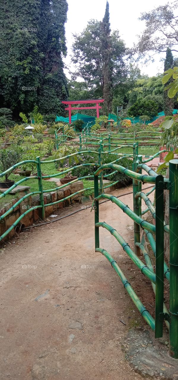 Green Walk 👣💚🧿