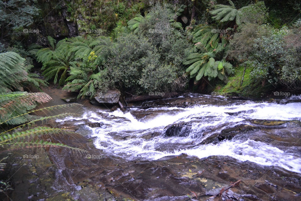 Tarra Waterfall 
