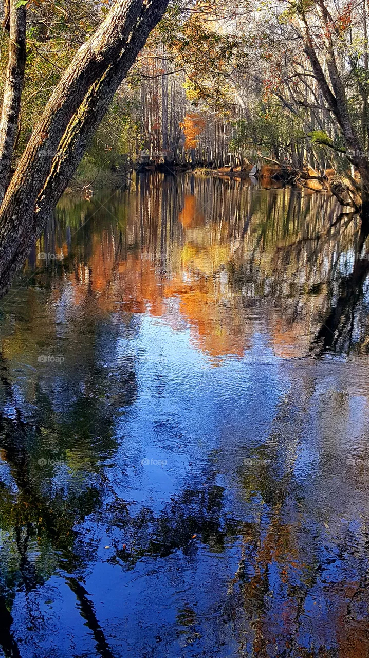Colorful River Landscape