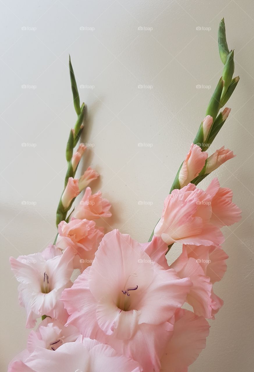Fresh pastel pink flowers bouquet in home interior