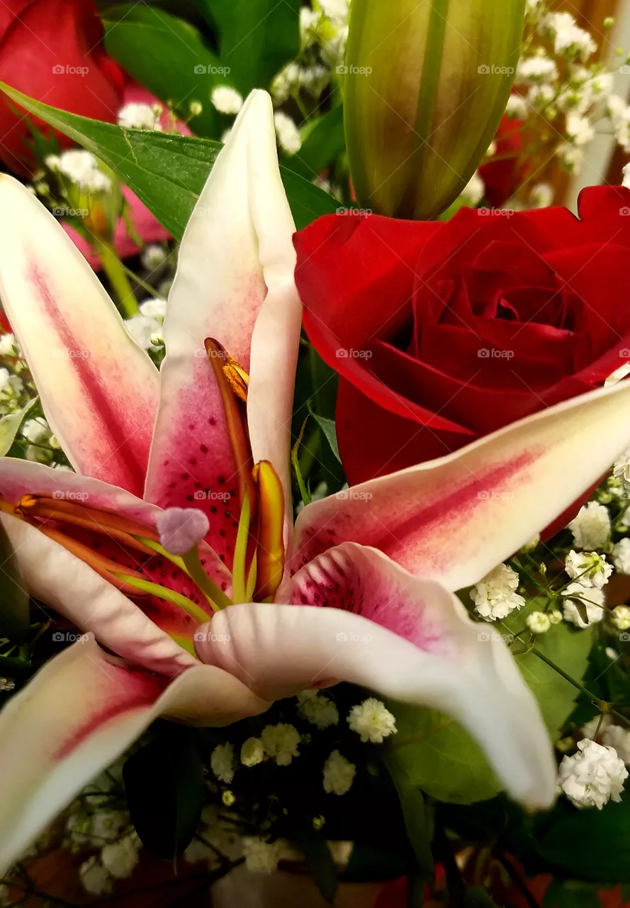flower