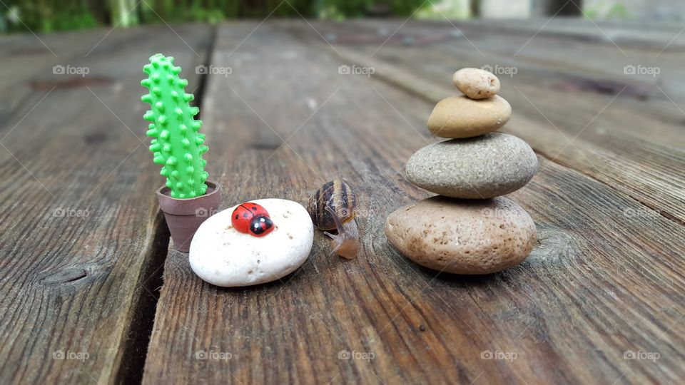 nice composition with the participation of a passing snail