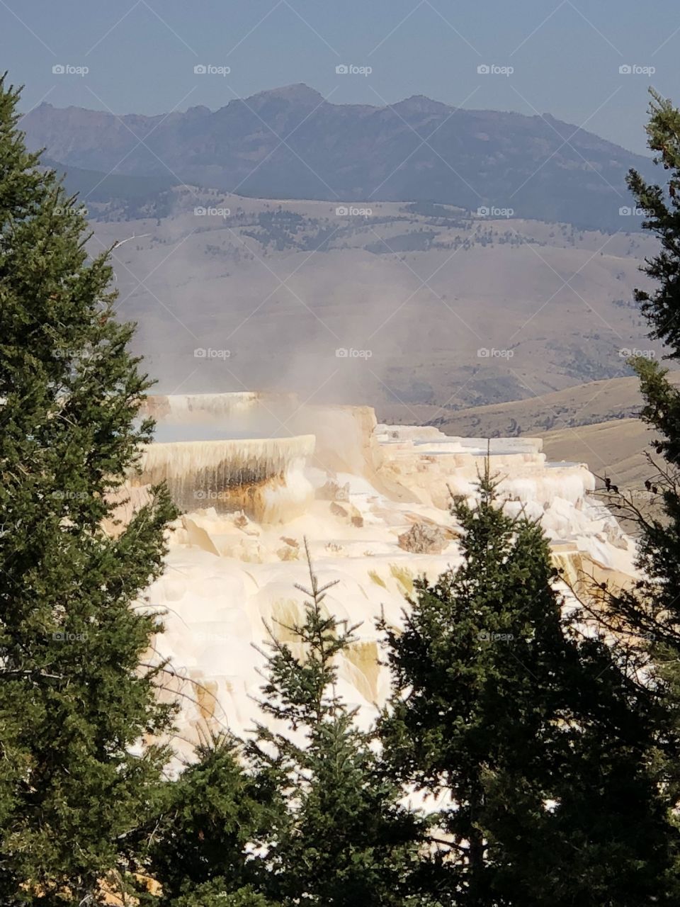 Mammoth Springs in Yellowstone Park