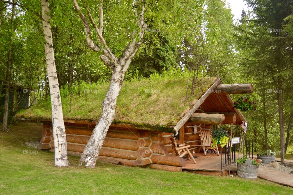 Alaskan Cabin With Sod Roof