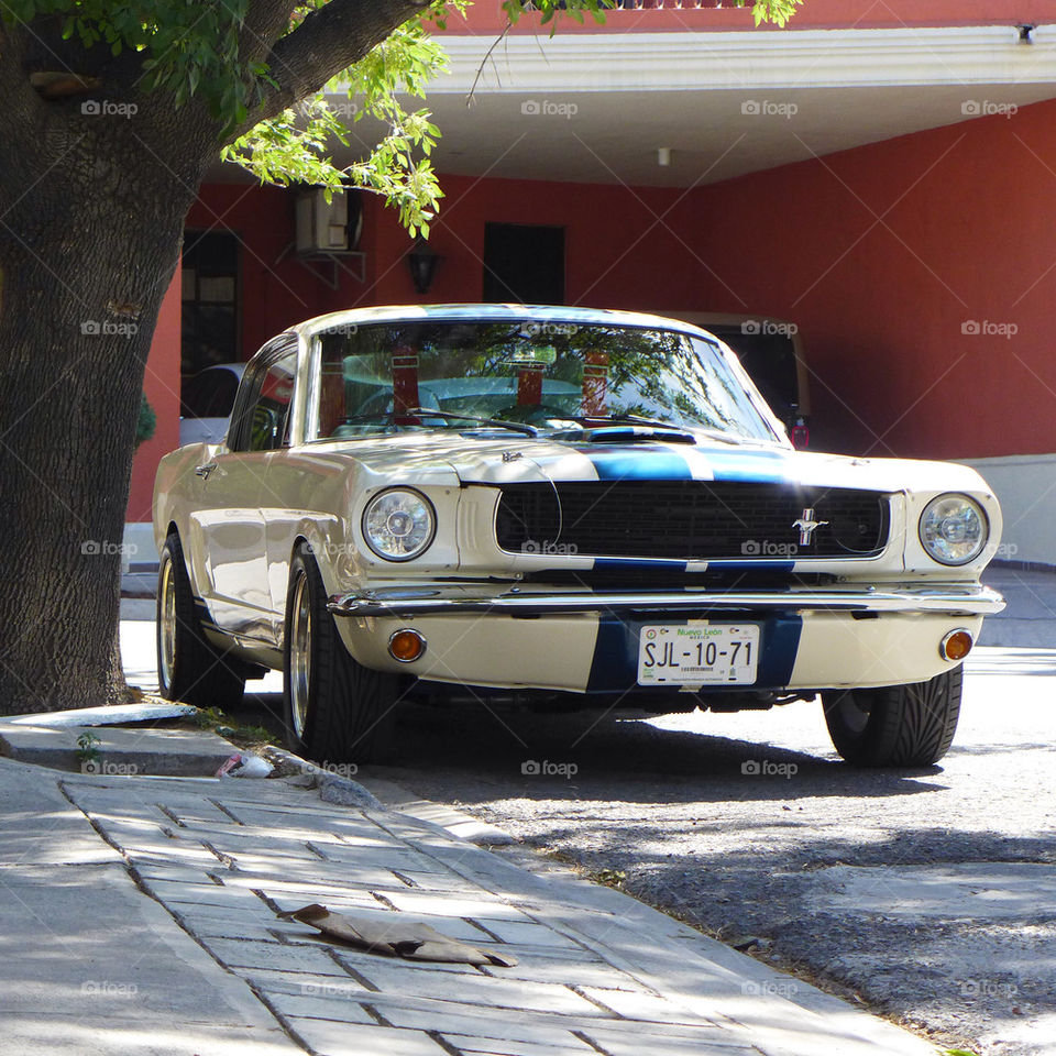 1965 Ford Shelby Mustang GT