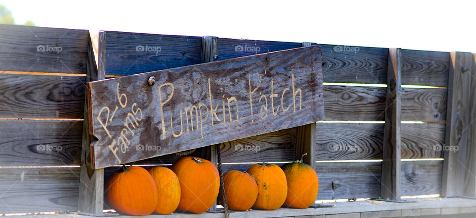 Pumpkin patch